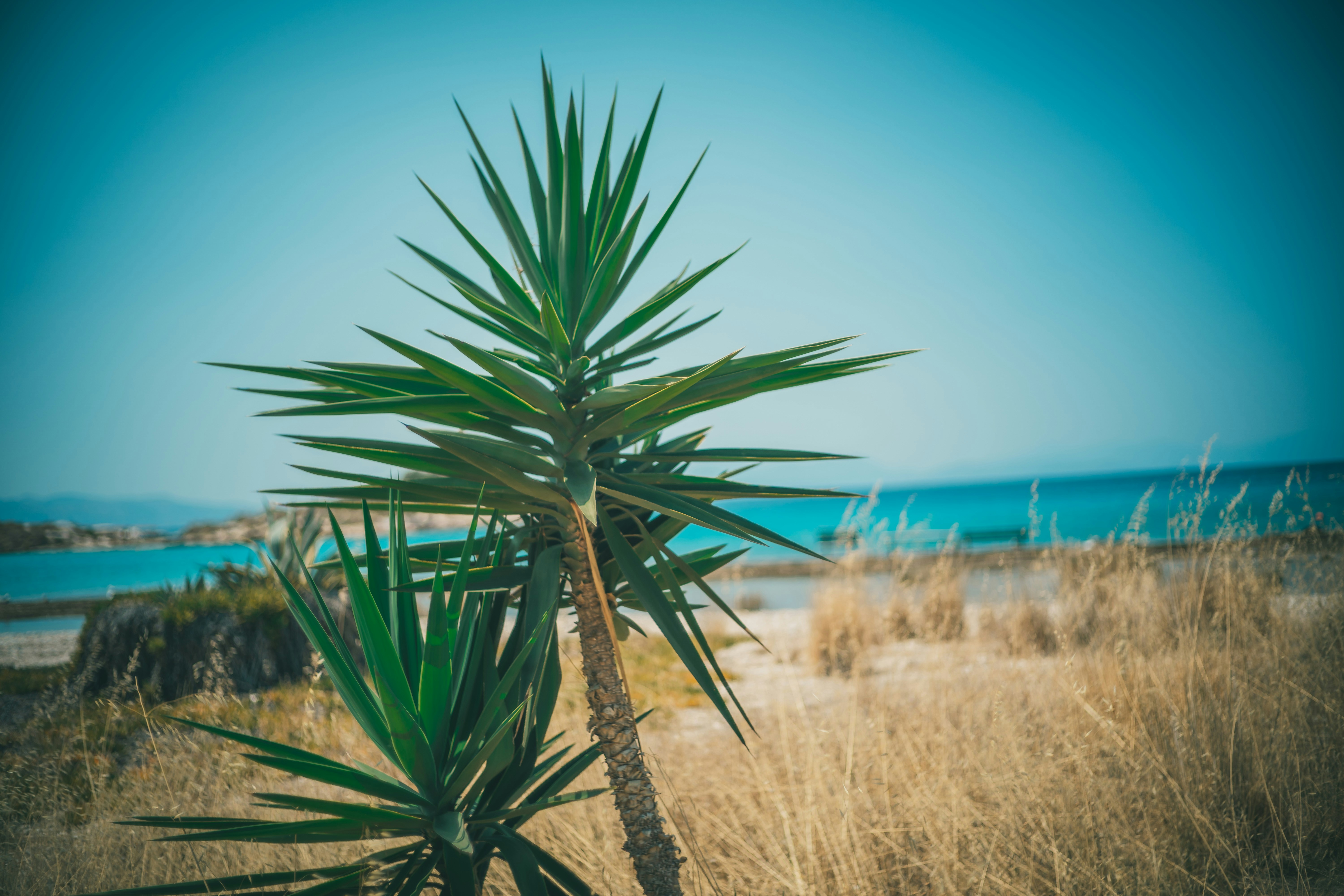 Photo by raimondklavins