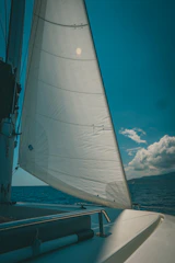 Alan Morgan steering his sailboat against a backdrop of open ocean and clear blue skies.