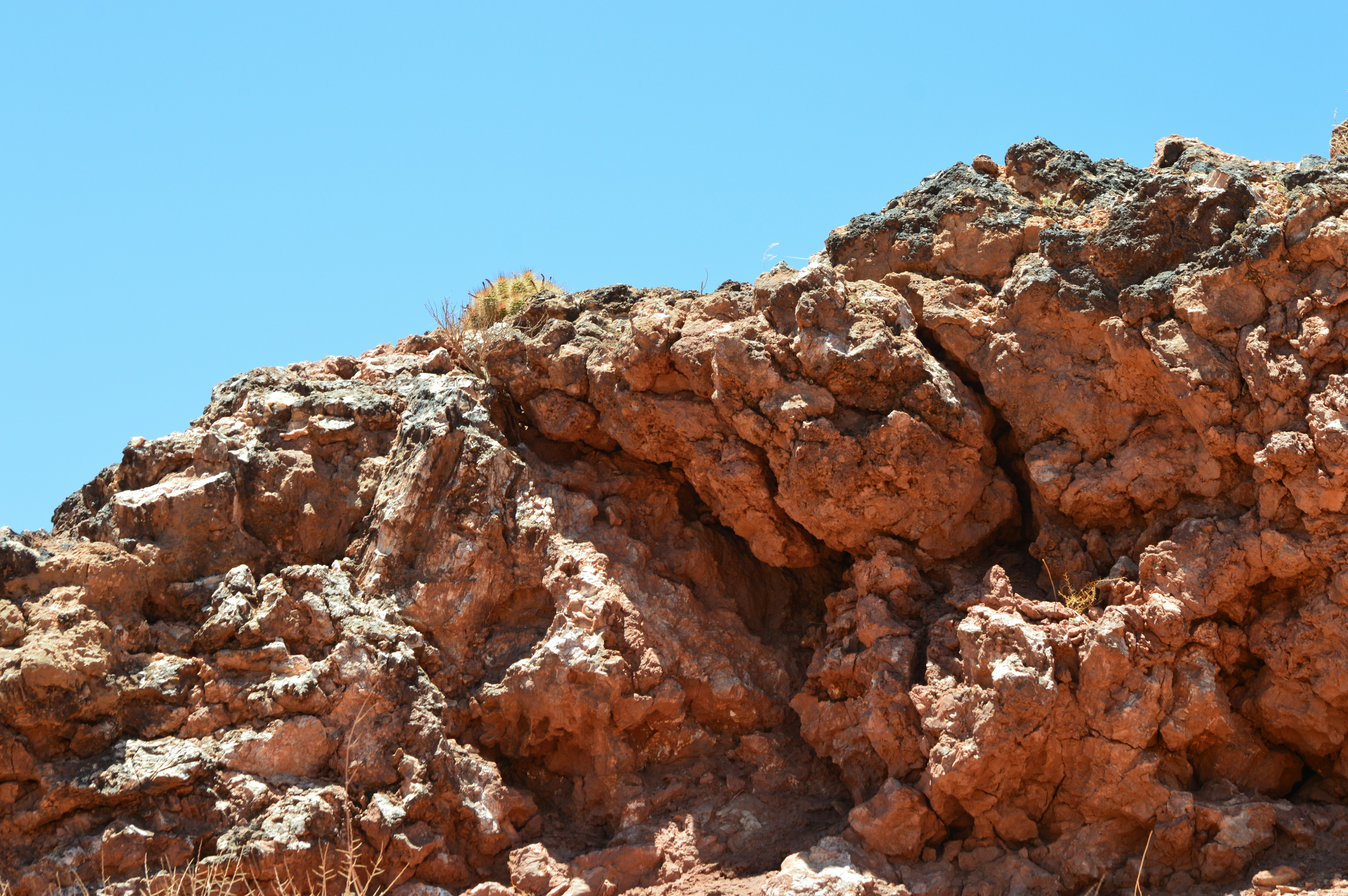 Photo by who_is_trent