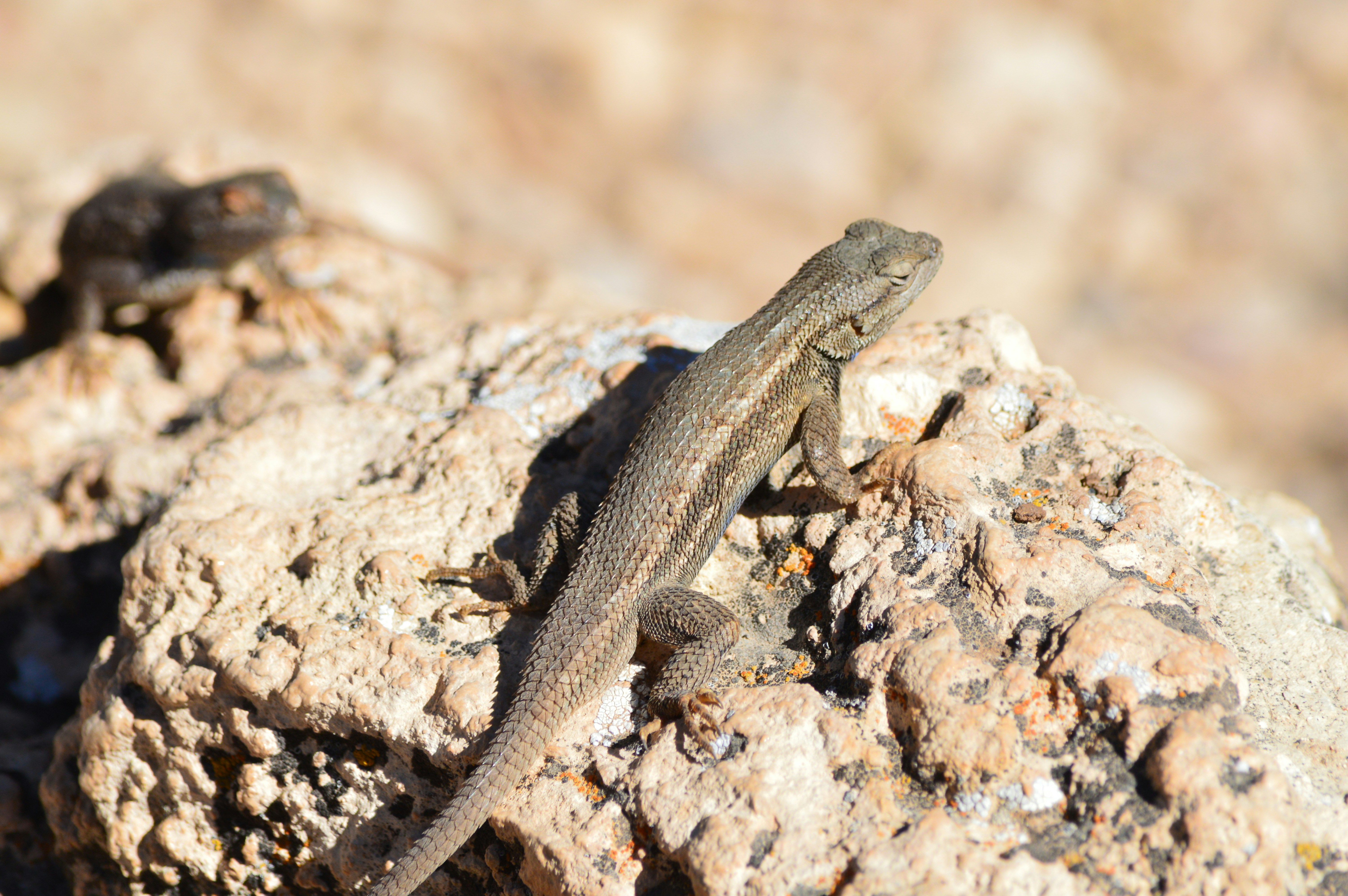 Photo by who_is_trent