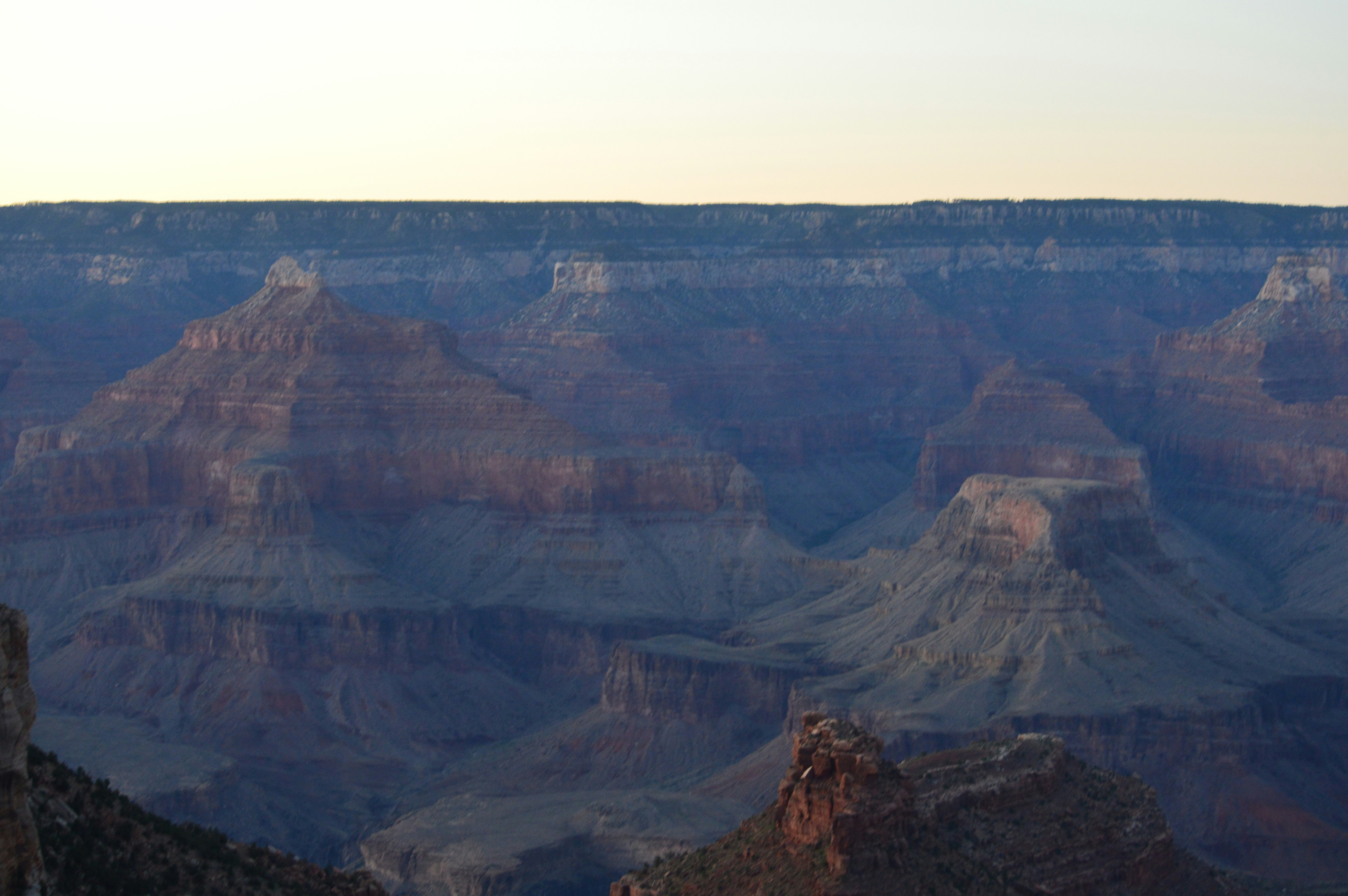 Photo by who_is_trent