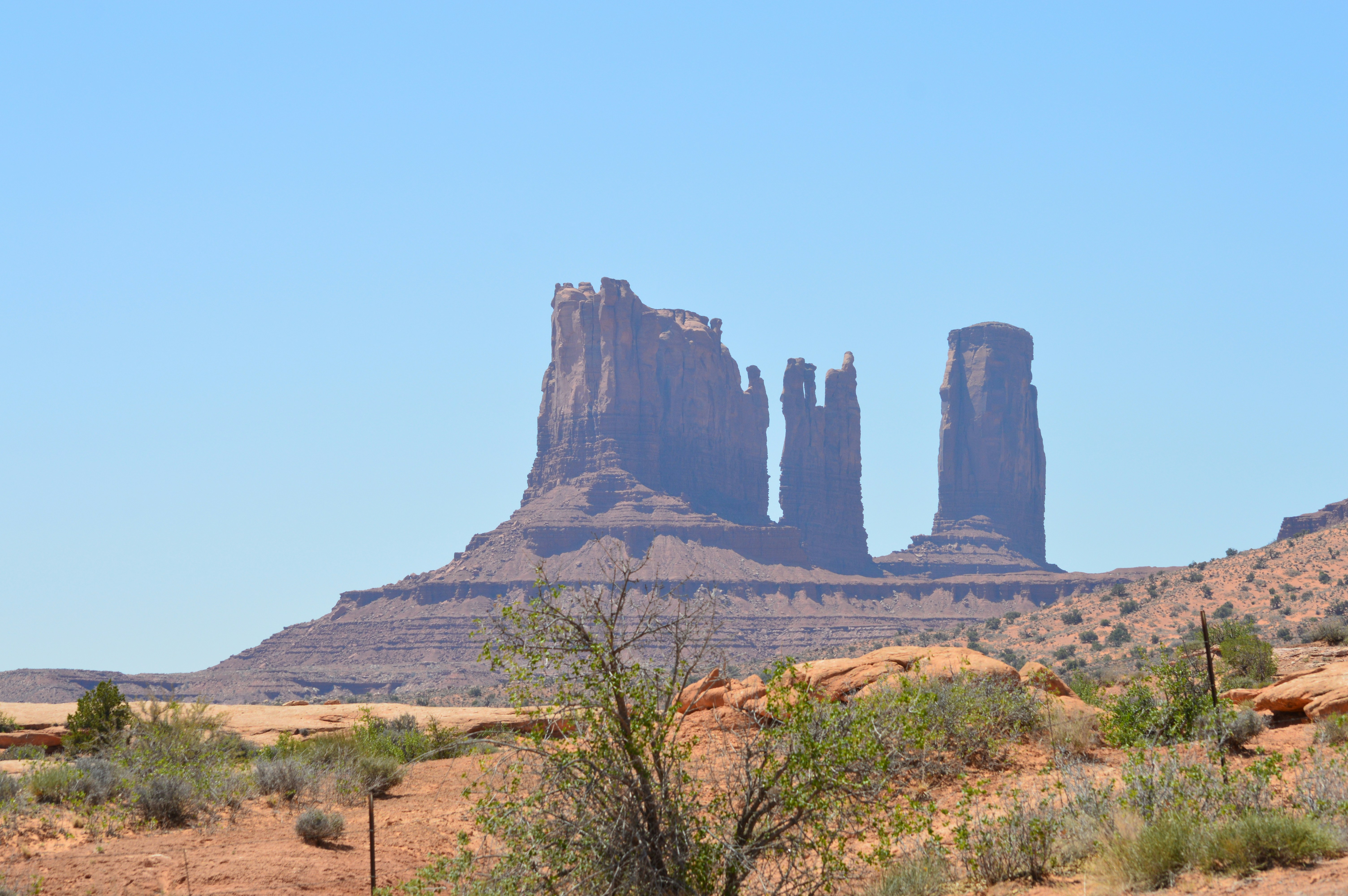 Photo by who_is_trent