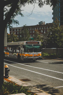 A Vialume bus driving through a scenic city street lined with trees and buildings.