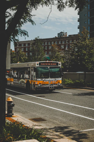 A Vialume bus driving through a scenic city street lined with trees and buildings.
