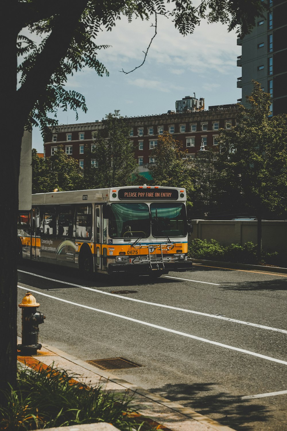 red and yellow bus on road during daytime