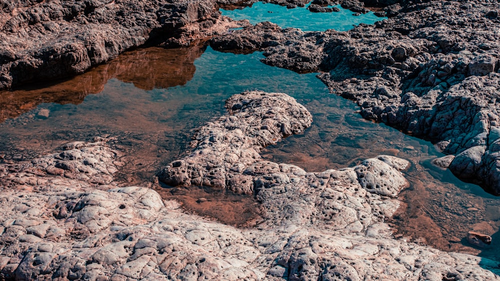 formação rochosa marrom na água azul do mar durante o dia