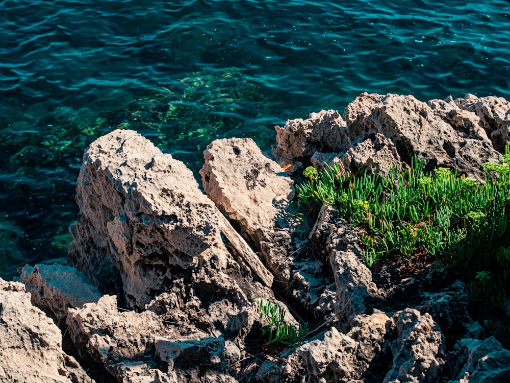 gray and brown rock formation beside body of water during daytime