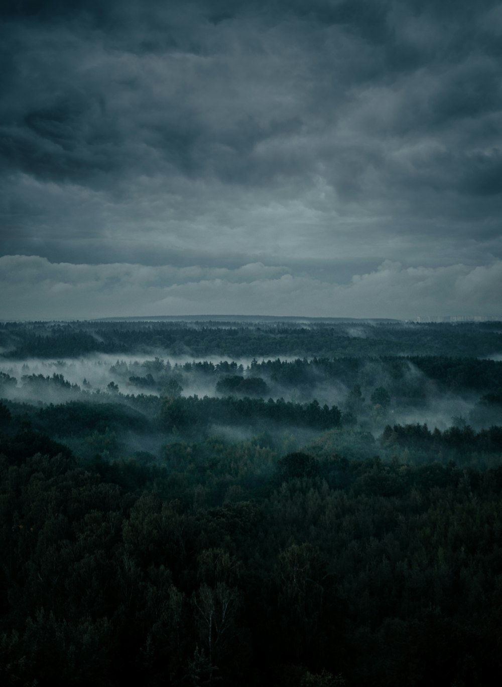 green grass field near sea under gray clouds