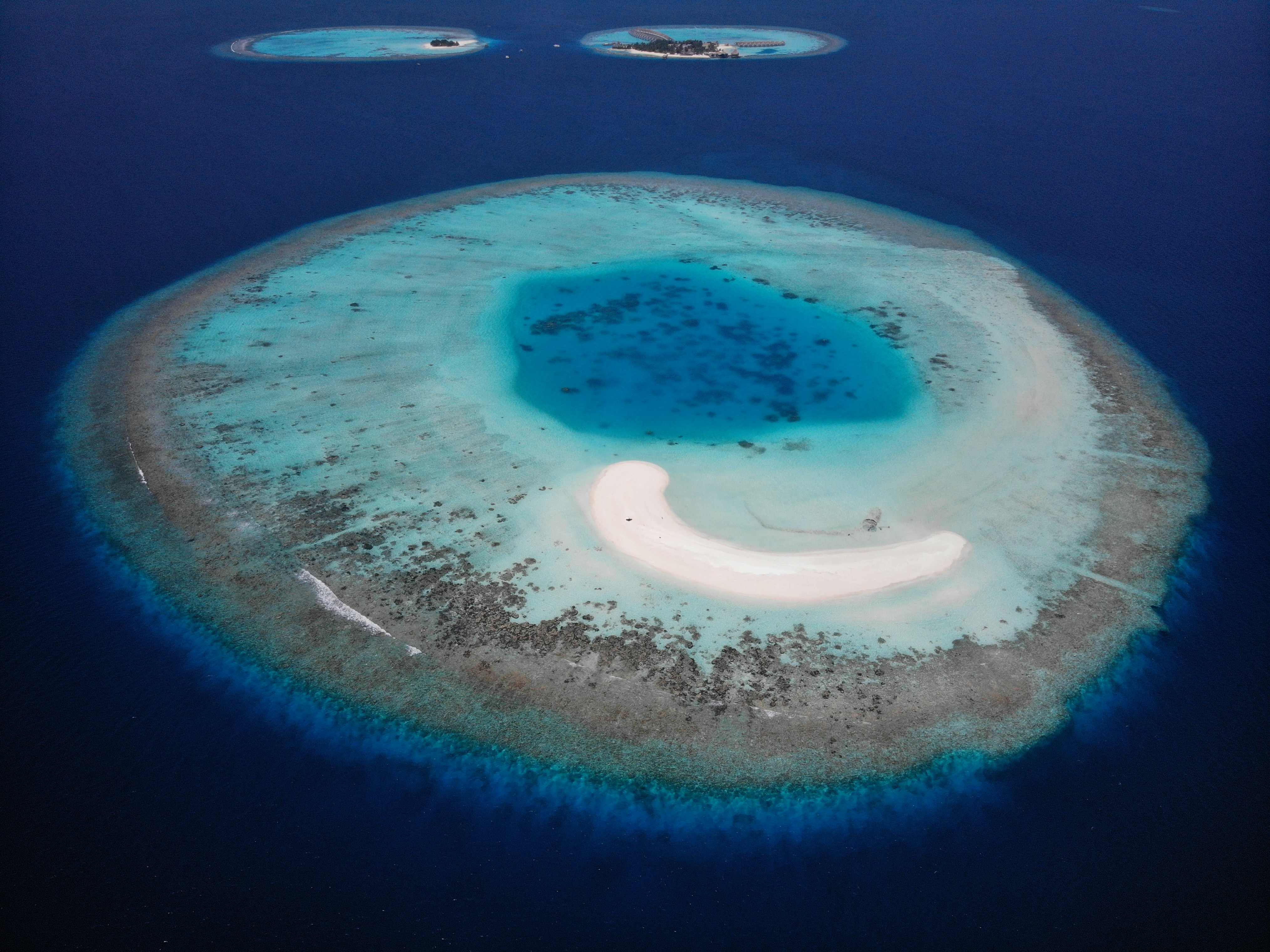 braun-weißes rundes Dekor