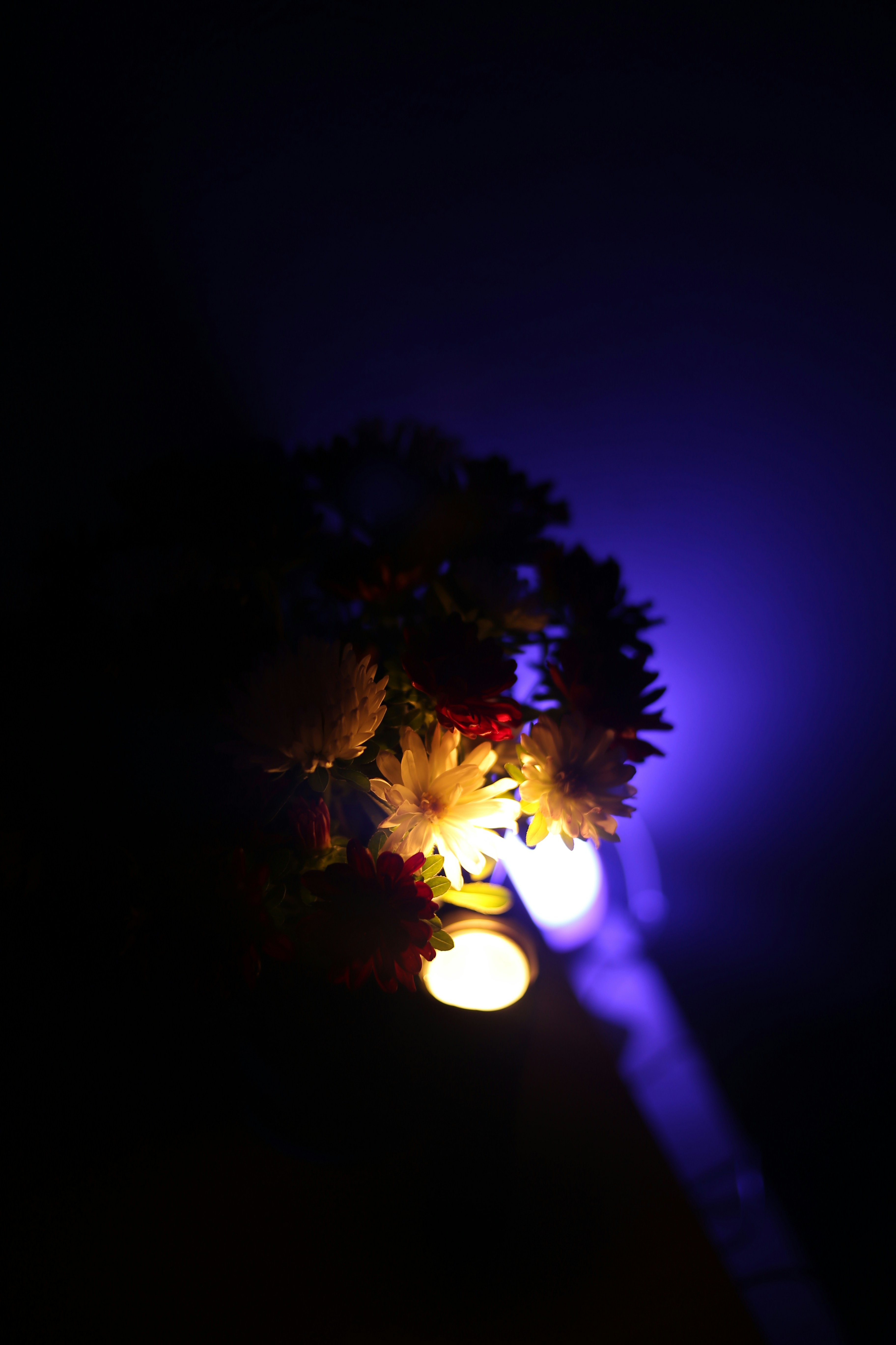 Photo by tobolenkoph