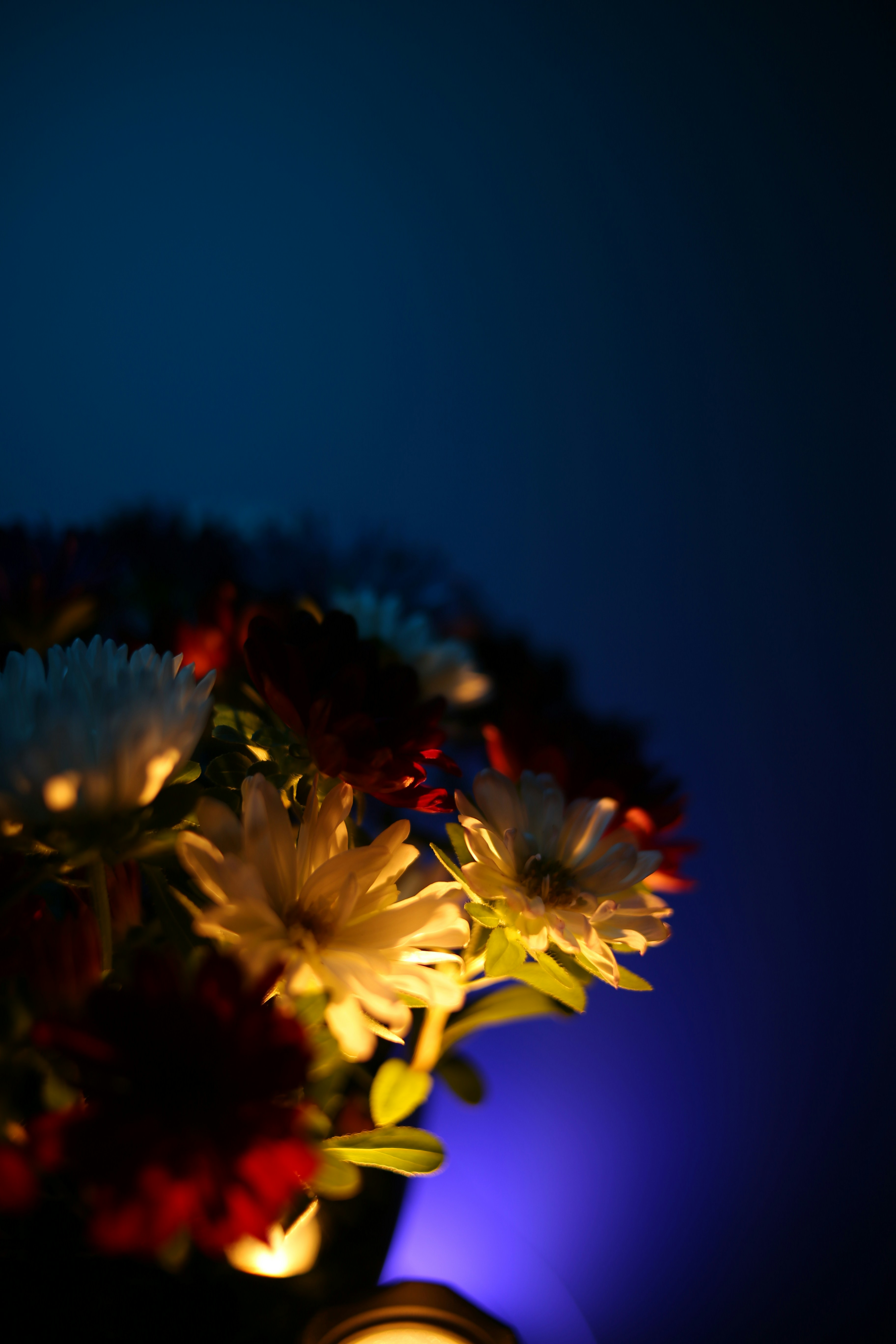 Photo by tobolenkoph