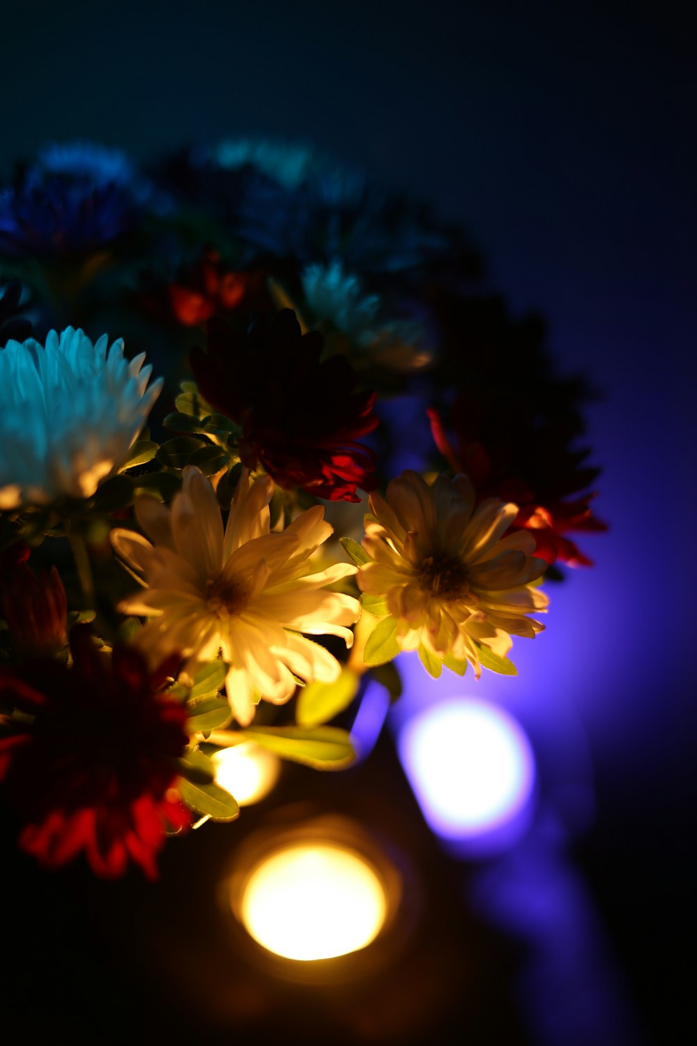 yellow and red flower in close up photography