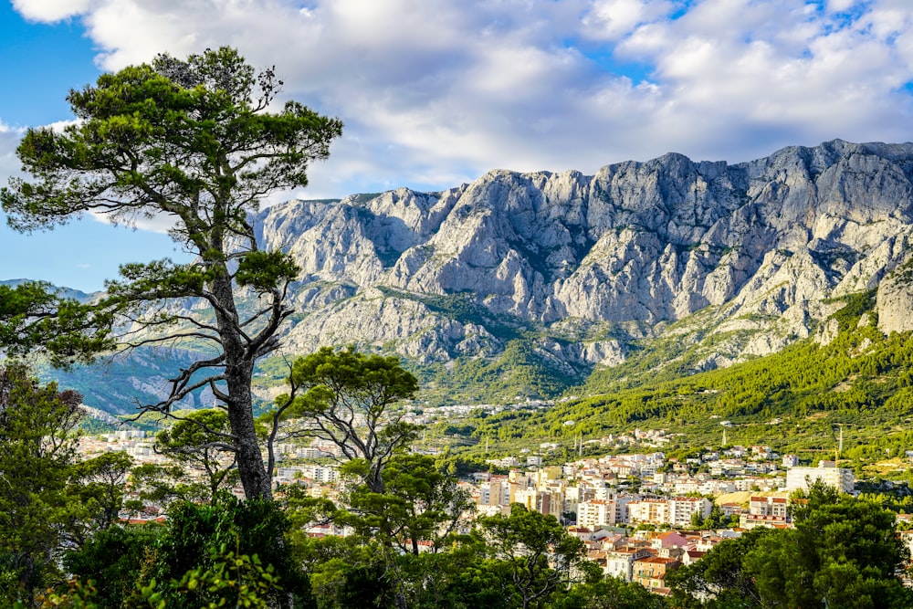 green trees near mountain under cloudy sky during daytime