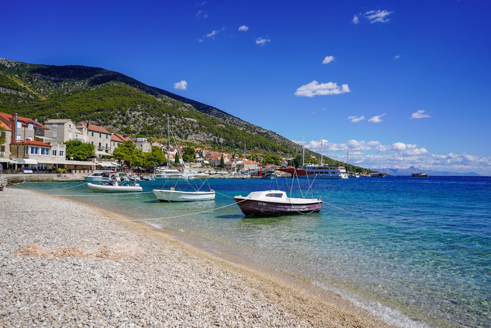 white and blue boat on sea shore during daytime