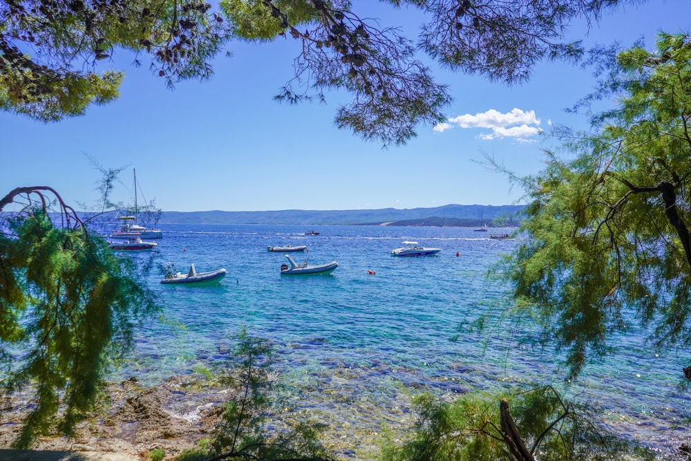 white and blue boat on body of water during daytime