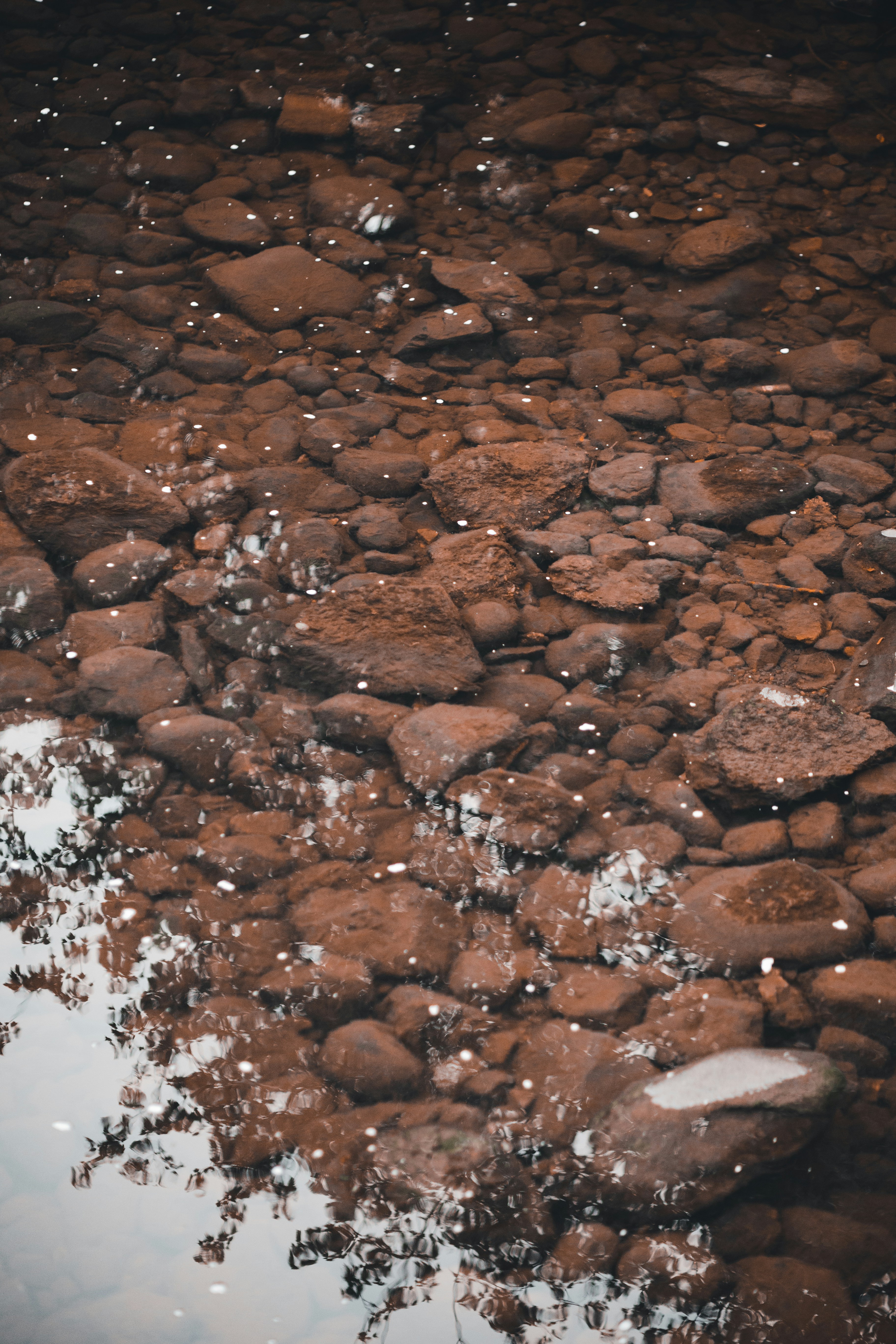 Photo by introspectivedsgn