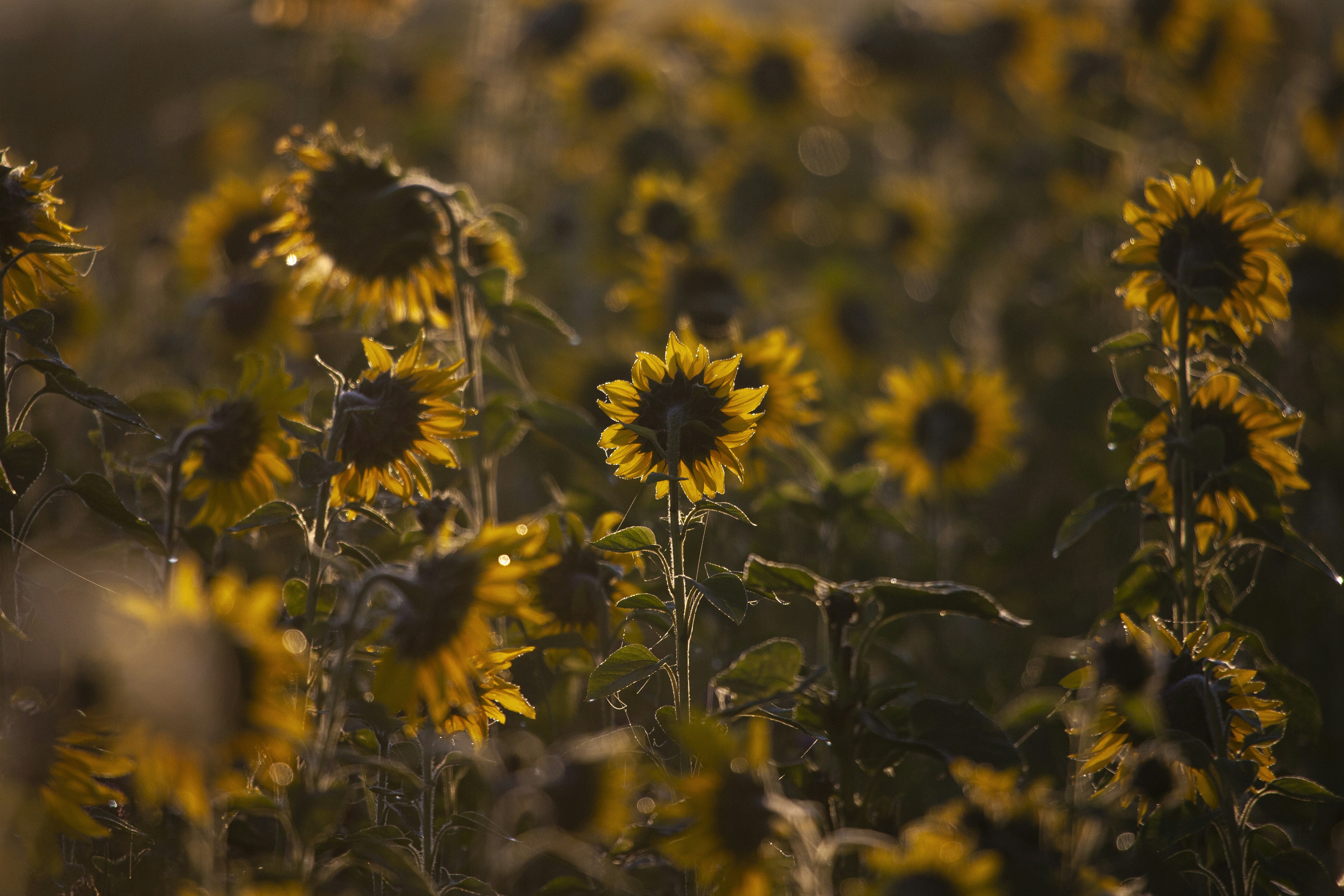 Photo by toft_pilgaard