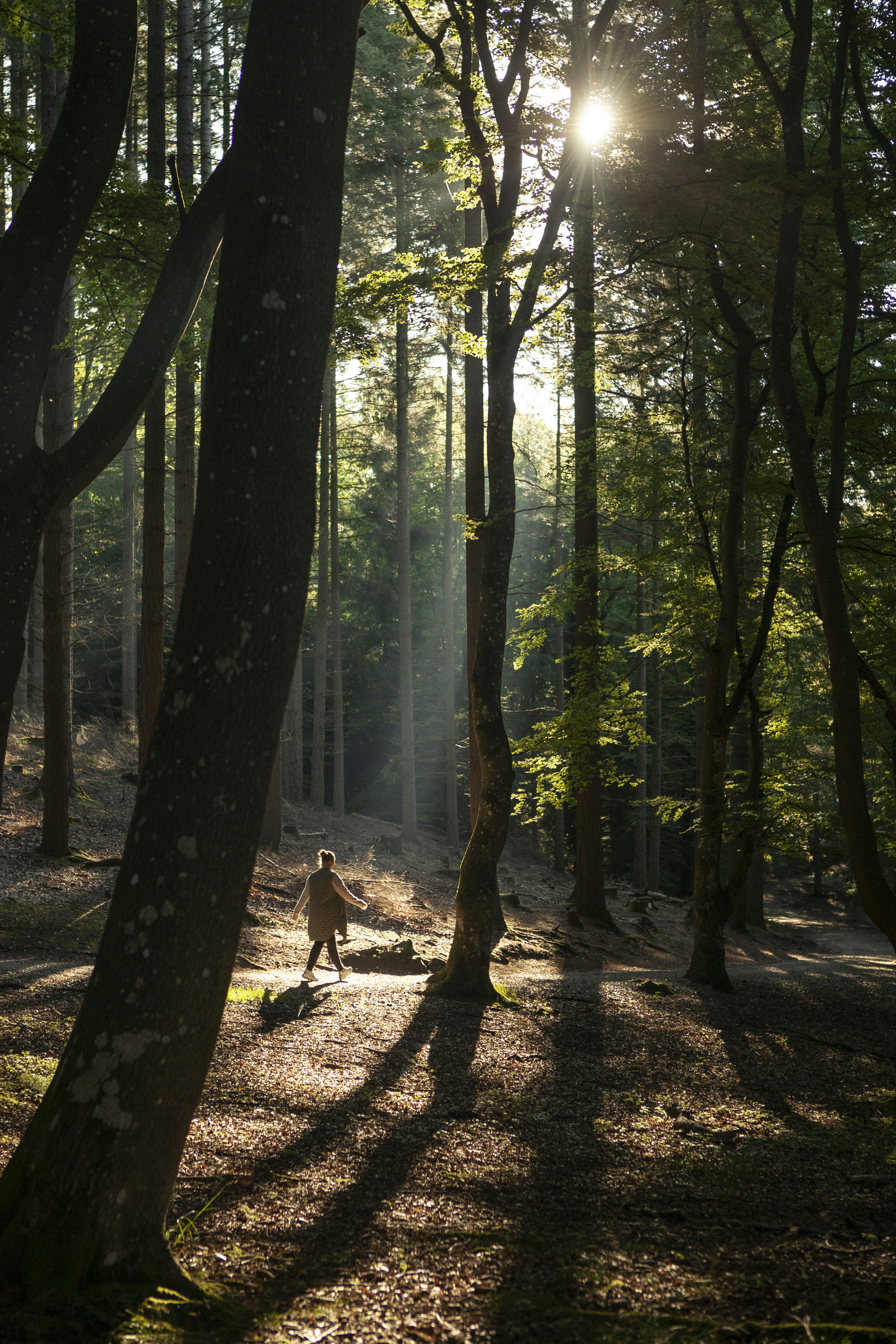 Photo by toft_pilgaard