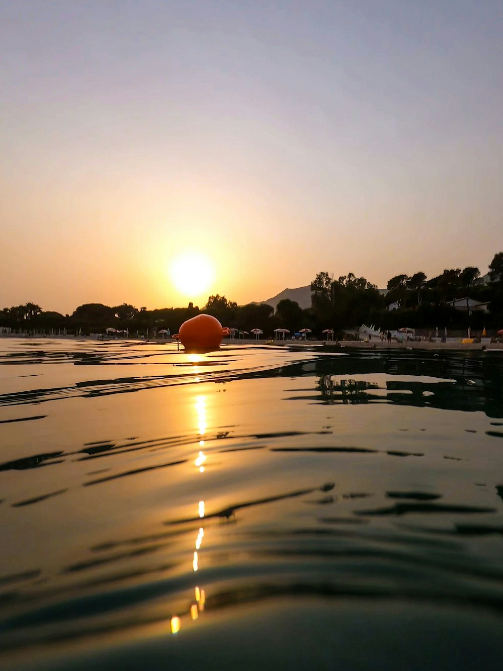 body of water near trees during sunset