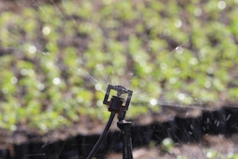 A close-up of a sprinkler in action, with water spraying outward. The background is blurred, showing greenery, possibly a field or garden.