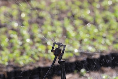 A close-up of a sprinkler in action, with water spraying outward. The background is blurred, showing greenery, possibly a field or garden.