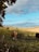 Image of a friendly farmer leaning on a fence with cattle grazing behind.