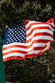 us a flag on green grass