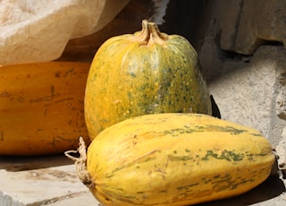 yellow and green squash on gray concrete floor