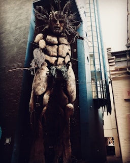 Installation art piece blending natural elements and urban decay in a quiet street.