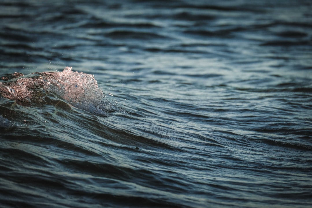 water splash on body of water