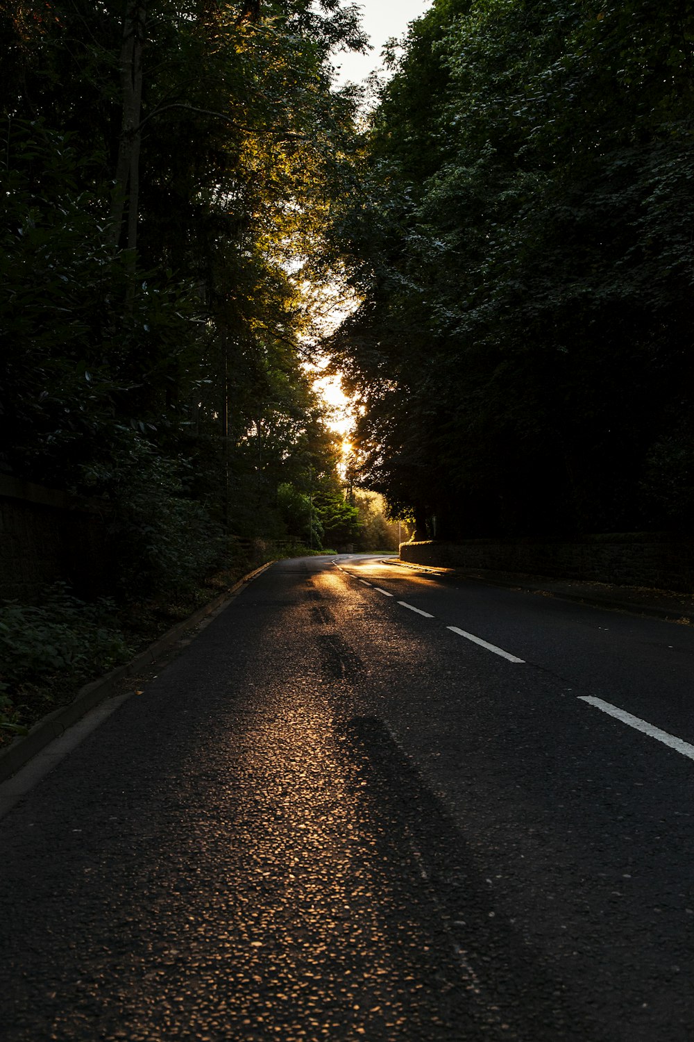 gray concrete road between green trees during daytime