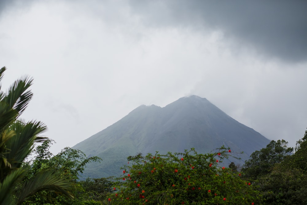 green trees near mountain under white clouds during daytime