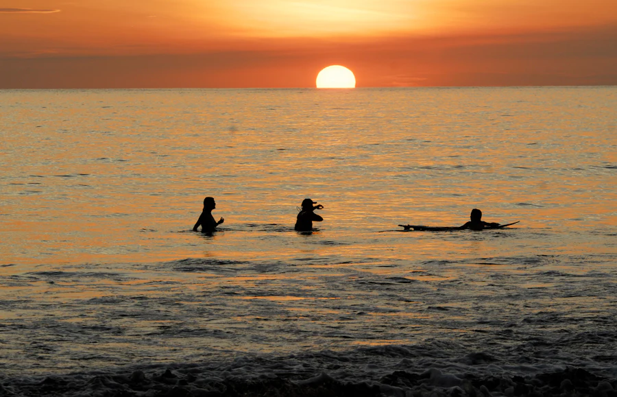 Swimmers in the sea at sunset