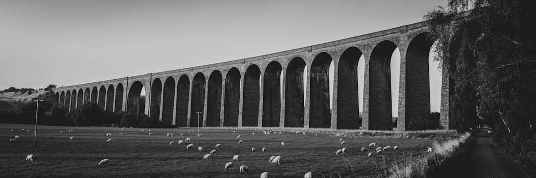 grayscale photo of concrete bridge