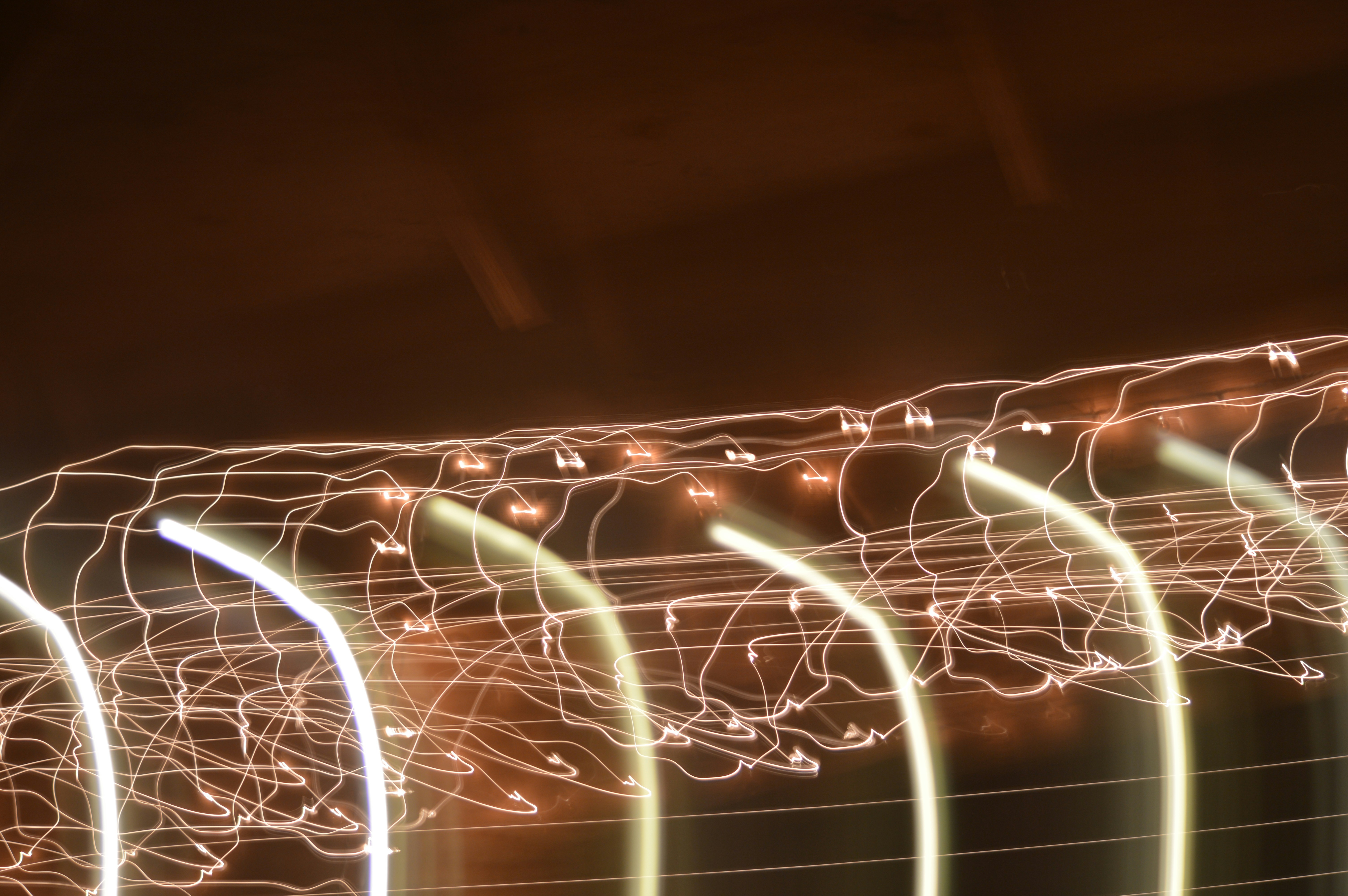 photo-1630538115893-cbefecb97921