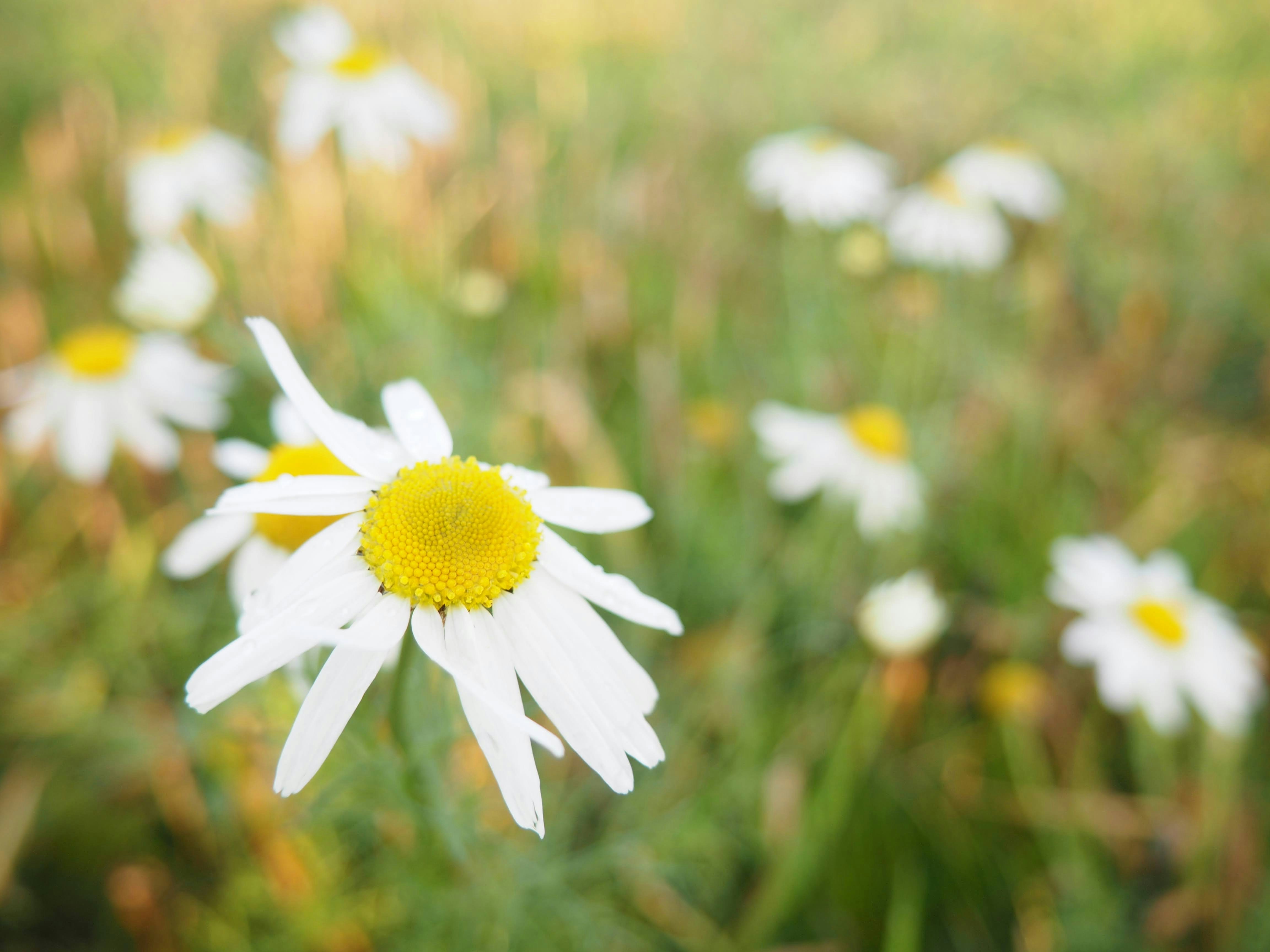 Photo by curryyyyyyyyy