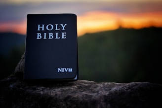 black and gray digital device reading at 10 00