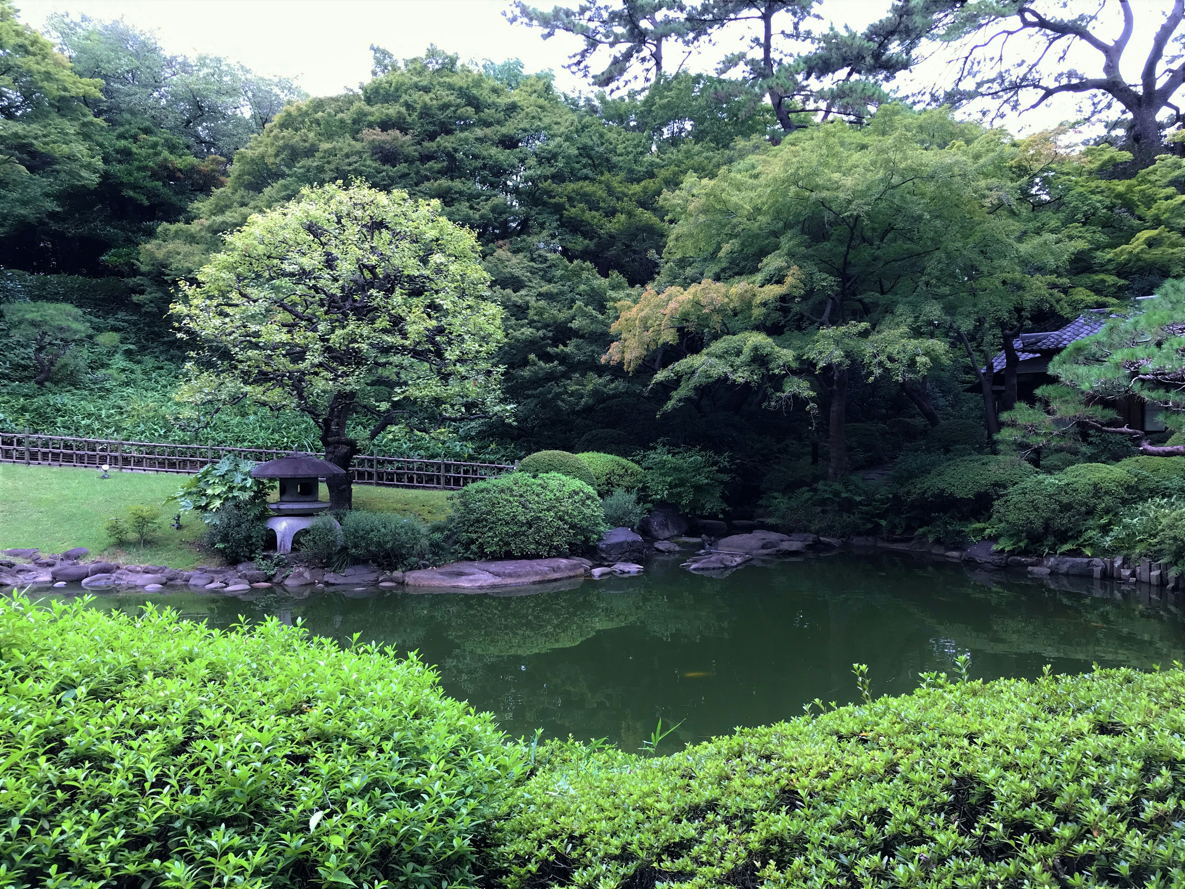 Photo by eriko_takahashi