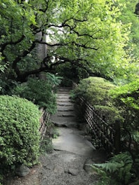 A serene backyard featuring a stone pathway winding through native plants and shaded seating areas.