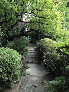 A serene backyard featuring a stone pathway winding through native plants and shaded seating areas.