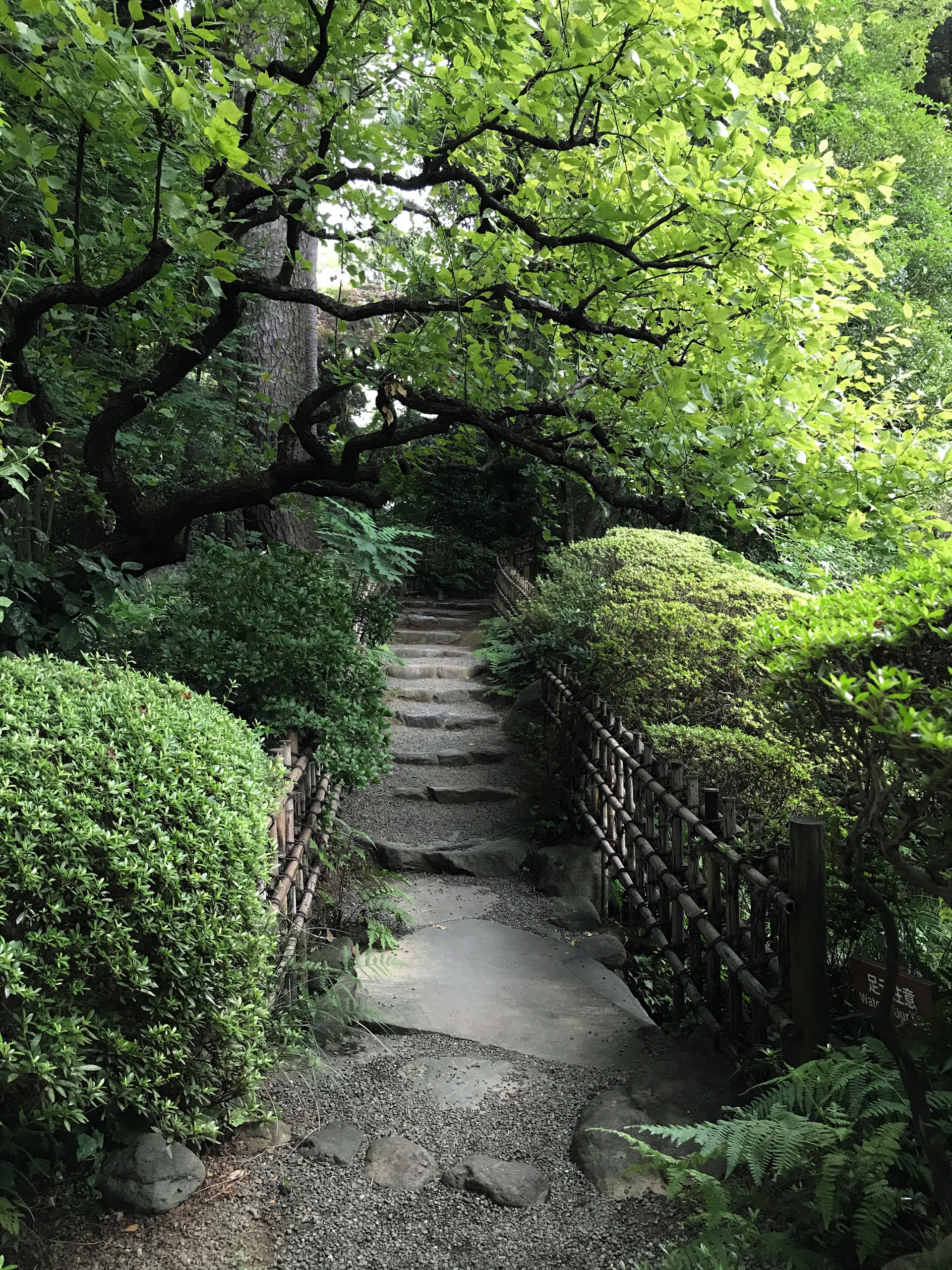 Tranquil spa garden with stone pathways, bamboo details, and a peaceful meditation nook surrounded by greenery.