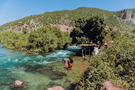 people standing on brown wooden dock near green trees during daytime