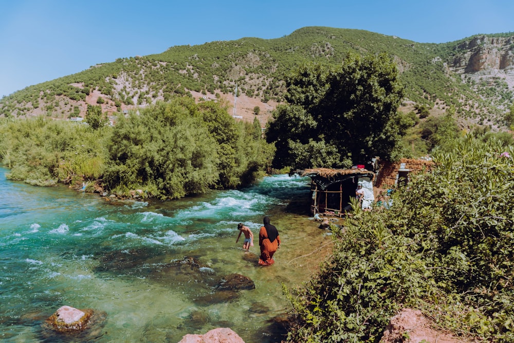 people standing on brown wooden dock near green trees during daytime