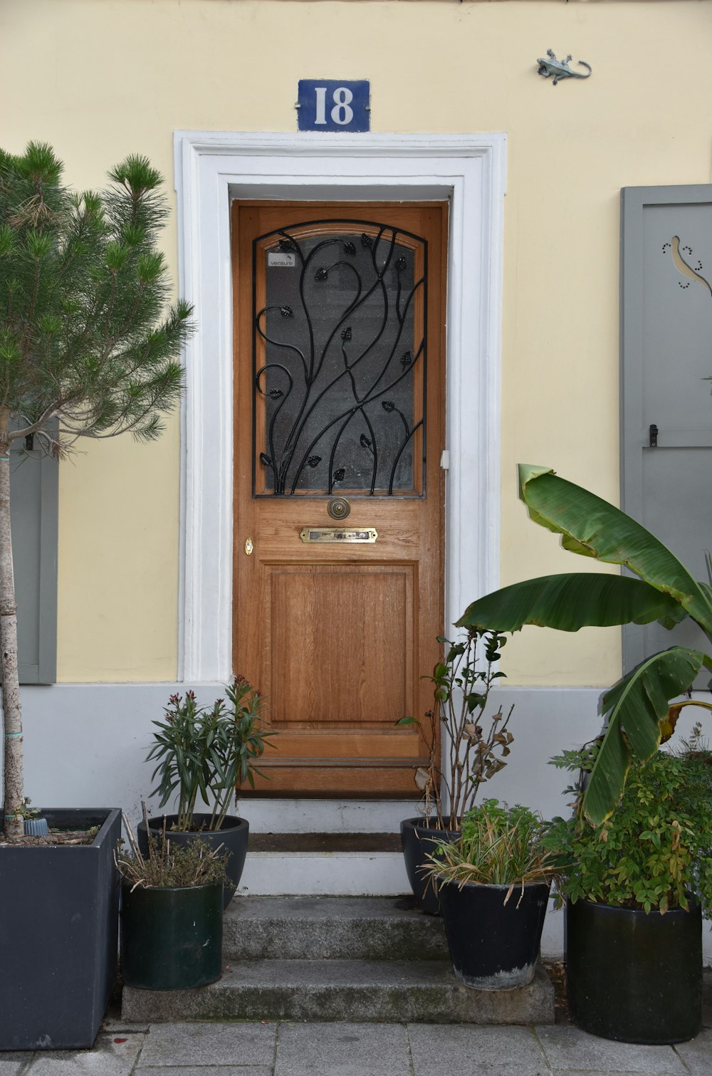 Puerta de madera marrón junto a una planta verde en maceta