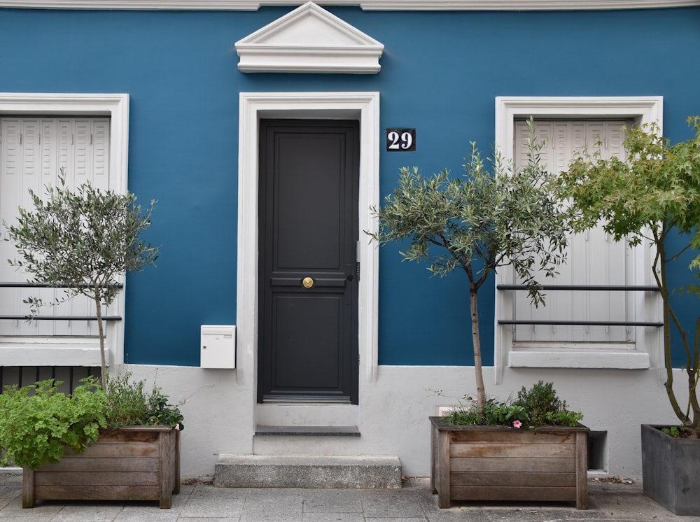 blue wooden door with green plant