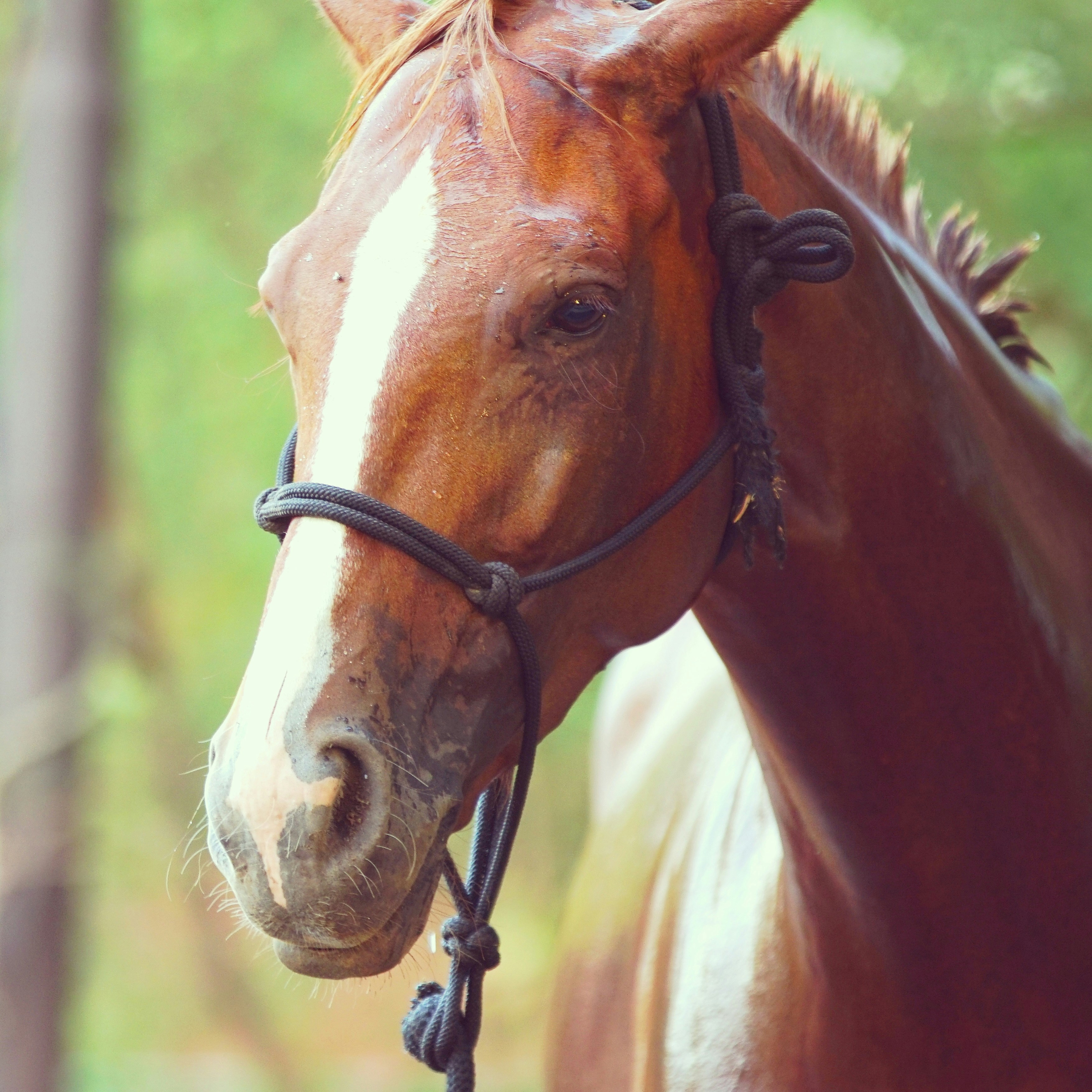 Photo by kapilkumar_photography