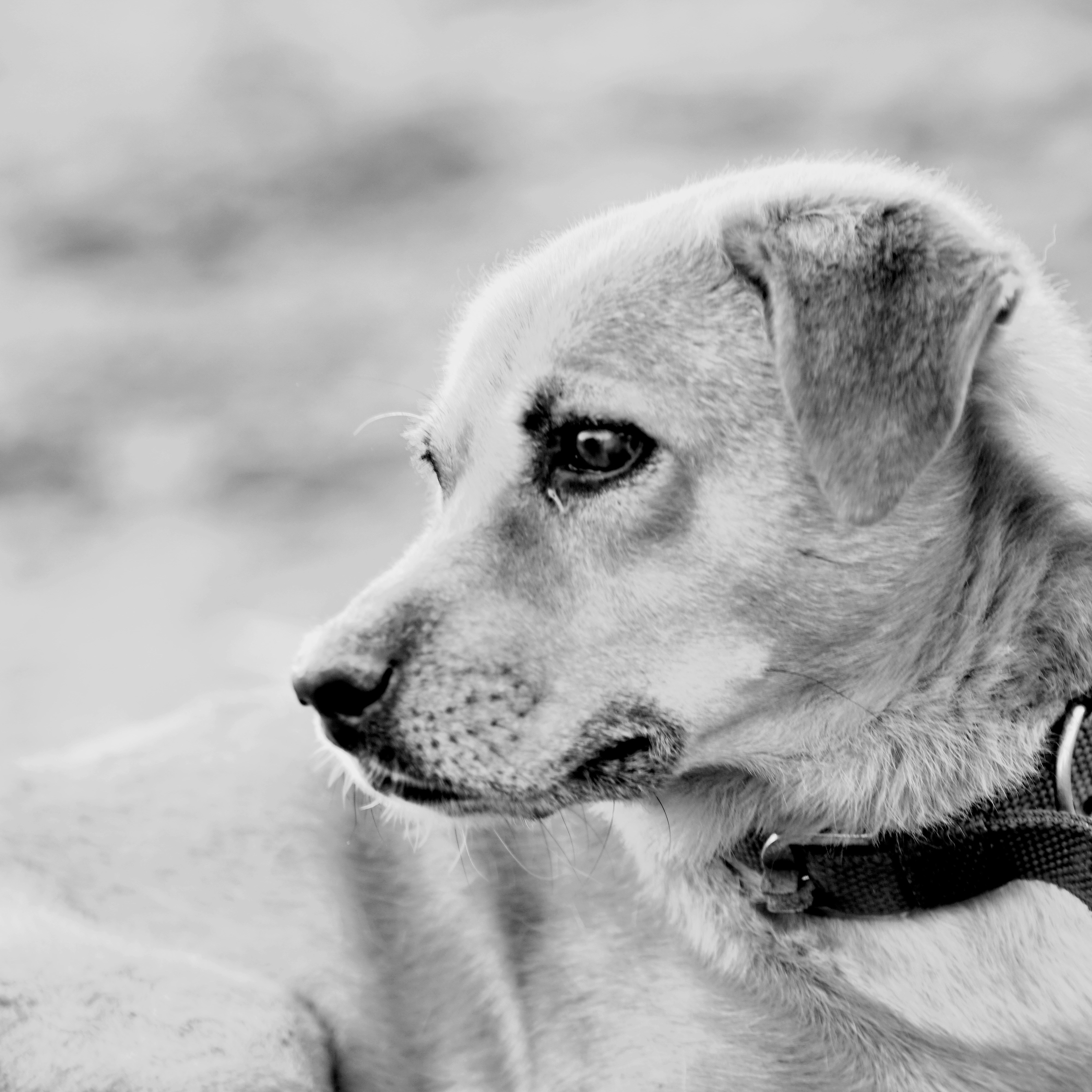 Photo by kapilkumar_photography