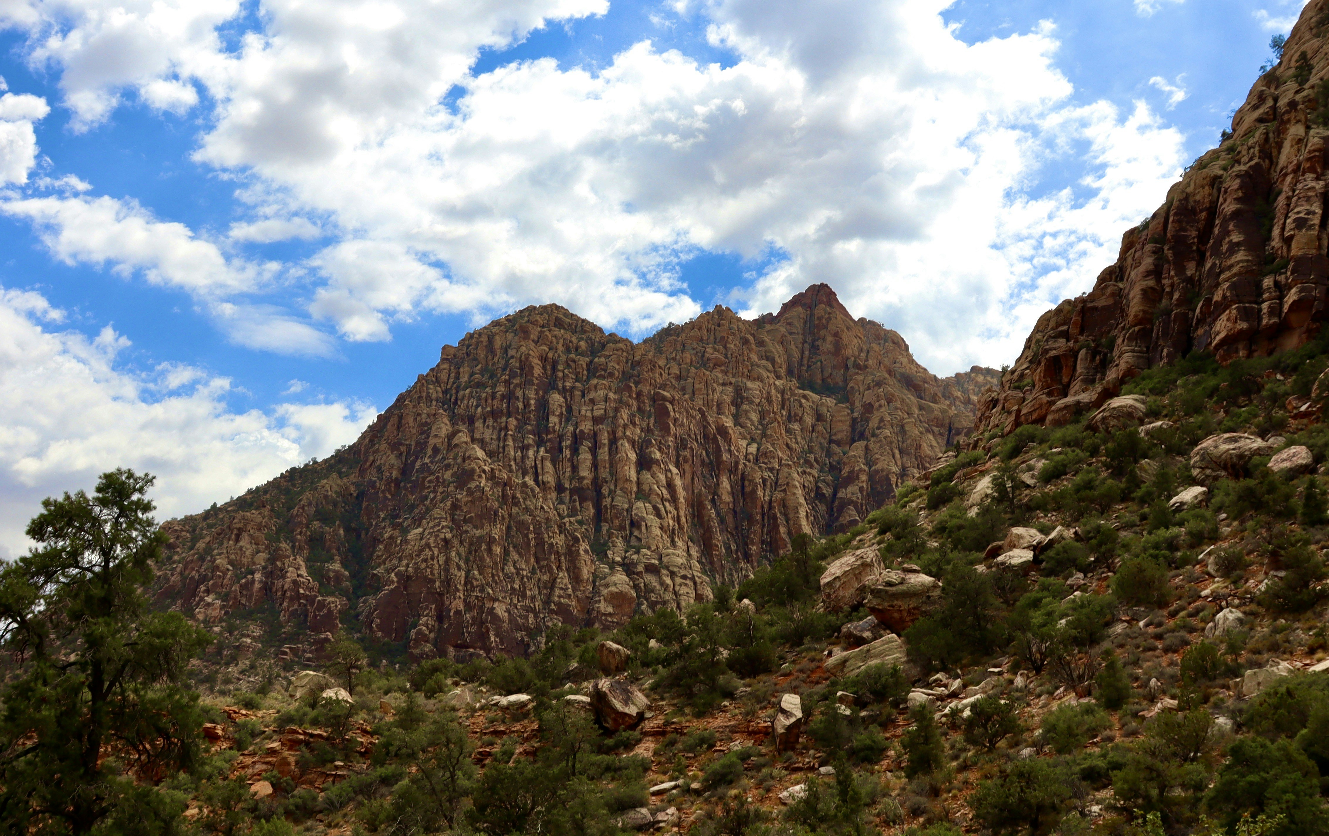 Photo by _bad_llama_