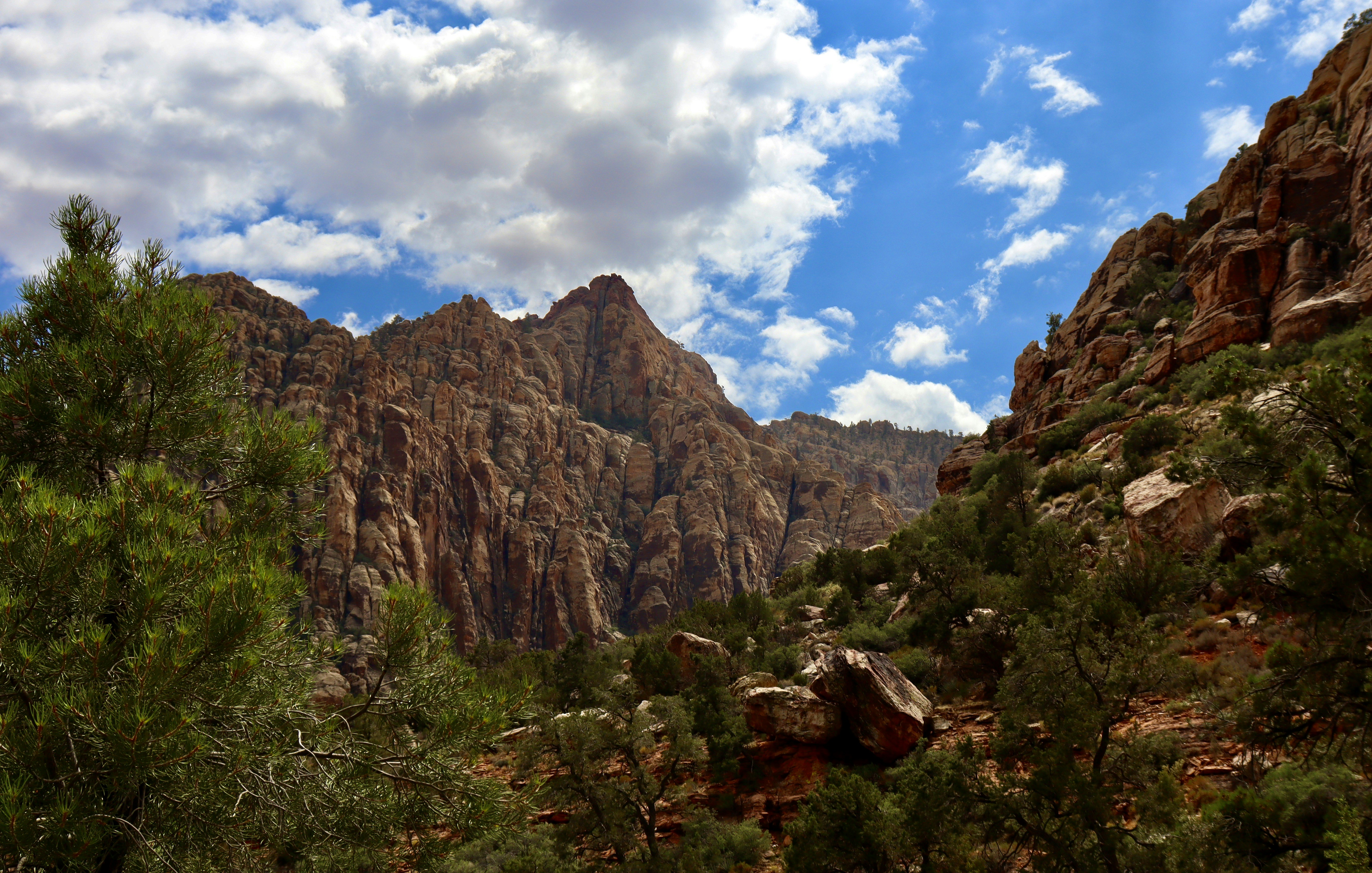 Photo by _bad_llama_