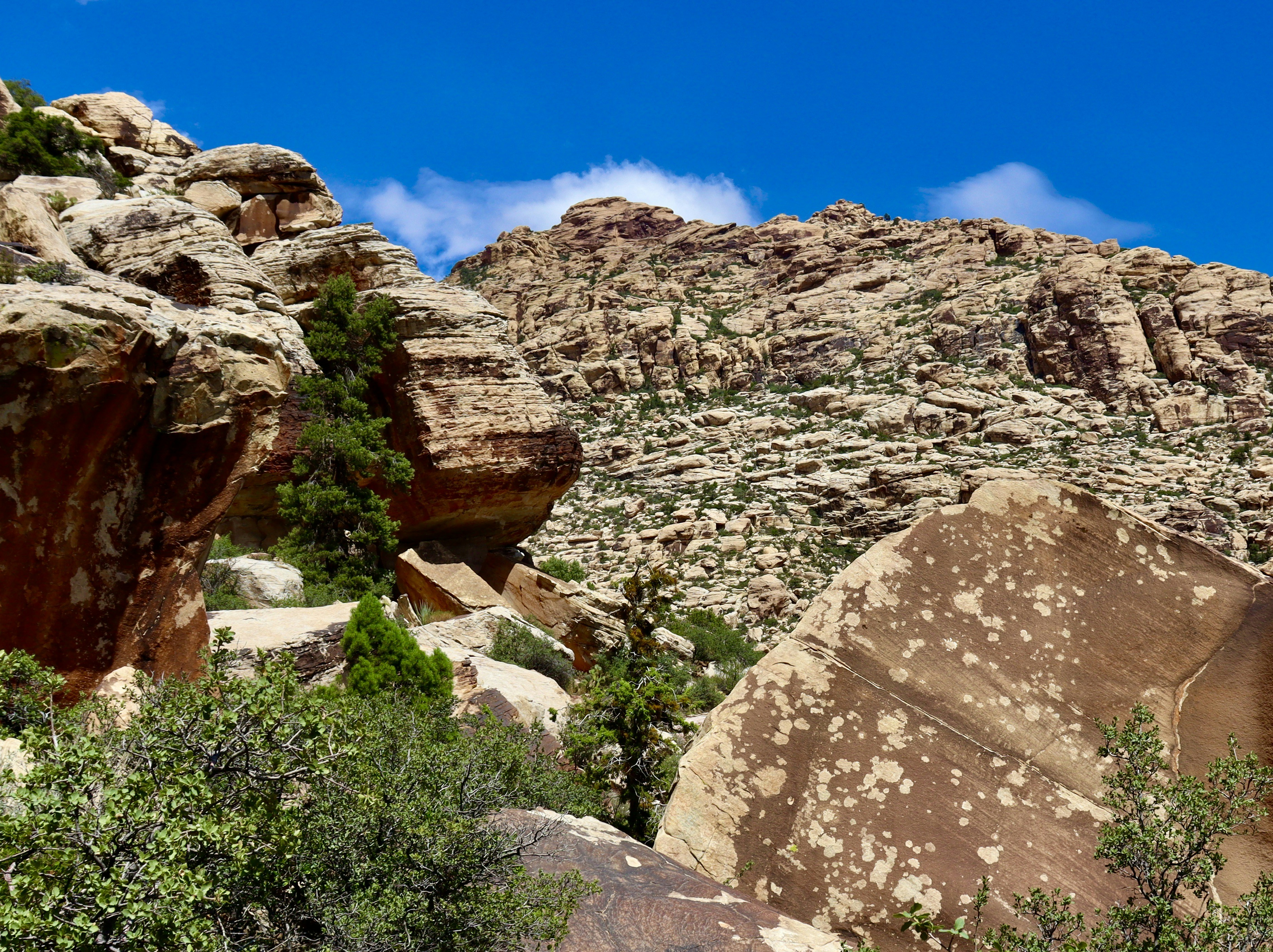 Photo by _bad_llama_